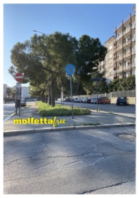 VERDE A MOLFETTA, LA GIUNTA CORRE AI RIPARI ANCHE PER DANNI PRODOTTI DALLE ALBERATURE