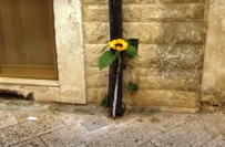 ATTO DEPLOREVOLE DI UNO SCONSIDERATO CHE HA MESSO IN CIRCOLO UNA FOTO, SCATTATA PRIMA DELLARRIVO DEI SOCCORSI, DELLA RAGAZZA CADUTA DAL BALCONE A MOLFETTA