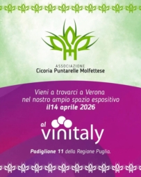 CICORIA PUNTARELLE MOLFETTESE CONQUISTA IL VINITALY. PER LA PRIMA VOLTA SAR� PRESENTE NELLO STAND DELLA REGIONE PUGLIA