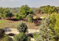 IL 5 GIUGNO SI INAUGURA IL PARCO ATTREZZATO DI MEZZOGIORNO BADEN POWELL