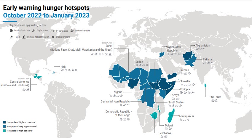 IN NETTO AUMENTO LE PERSONE CHE SOFFRONO LA FAME NEL MONDO. DATI DIFFUSI DALLONU