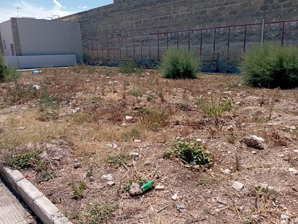 LAVORI DI RIFORESTAZIONE URBANA A MOLFETTA: SI COMINCIA DALL'AREA DIETRO LA BASILICA 