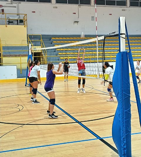 PARTE IL CAMPIONATO DI PALLAVOLO FEMMINILE DI SERIE D. ESORDIO CASALINGO, SABATO 14 OTTOBRE, PER LASDAM PEGASO 93 MOLFETTA