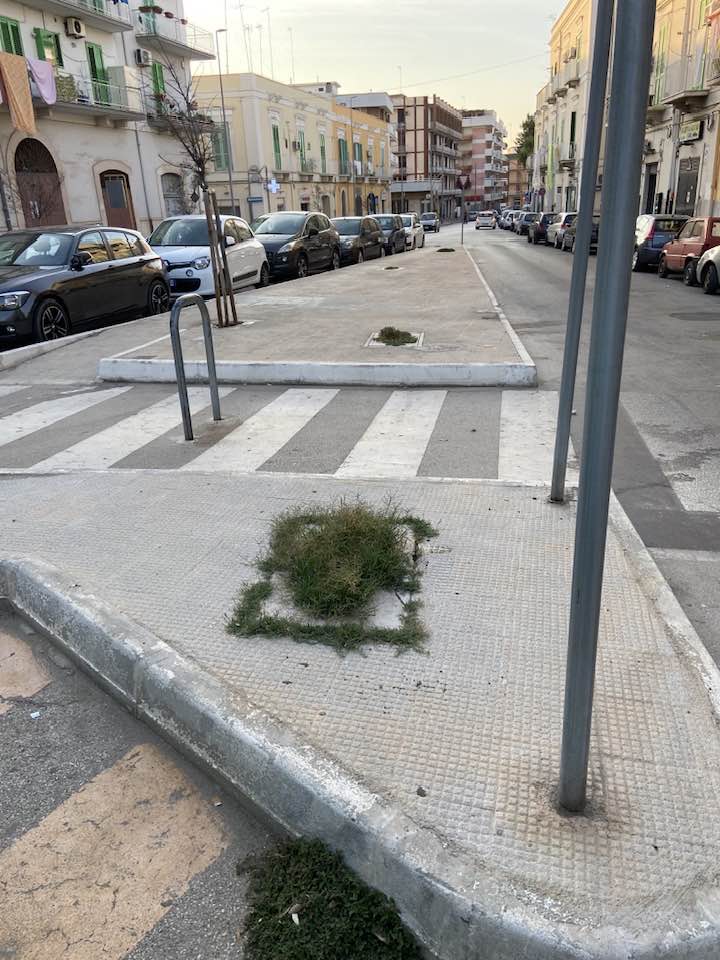 CORSO FORNARI: IL VERDE ORMAI TUTTO SECCO, SPRECO DI SOLDI E TEMPO