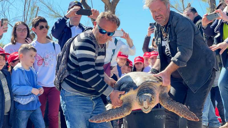 LIBERATE DUE TARTARUGHE CARETTA CARETTA ALLA PRIMA CALA NELL'AMBITO DELLA SETTIMANA DEL MARE
