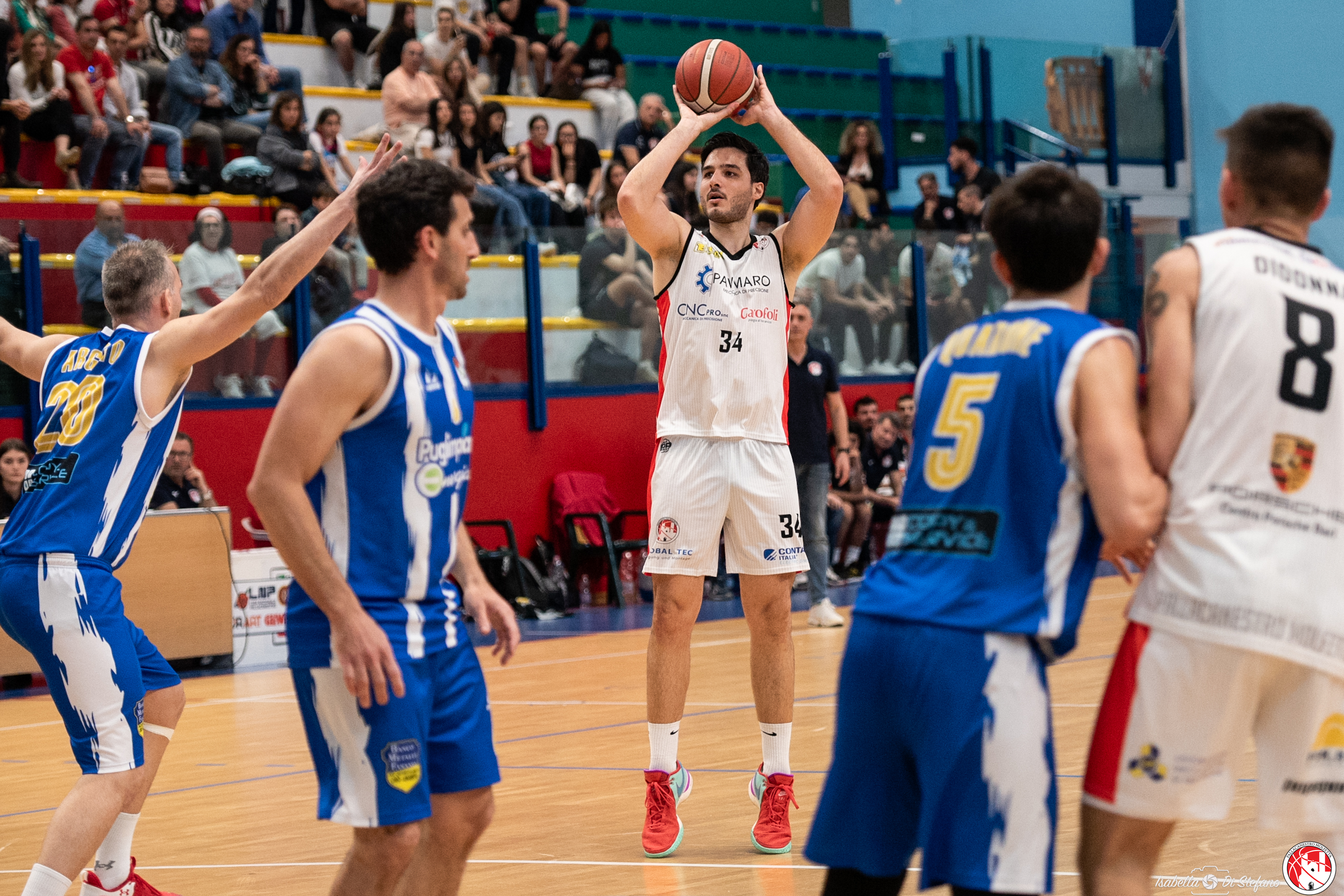 INIZIANO I PLAY-OFF DI BASKET PER LA PROMOZIONE IN SERIE B INTERREGIONALE. LA PAVIMARO MOLFETTA IMPEGNATA IN GARA 1 CONTRO CANUSIUM