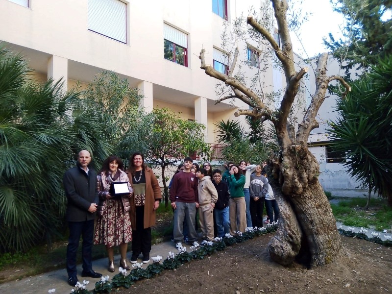 IN OCCASIONE DELLA FESTA DELL'ALBERO LISTITUTO COMPRENSIVO 