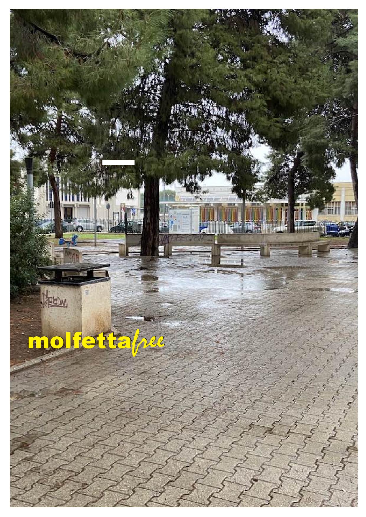 DOBBIAMO ABBATTERE ALTRI ALBERI ANCHE IN PIAZZA DE GASPERI CON I PROSSIMI LAVORI?