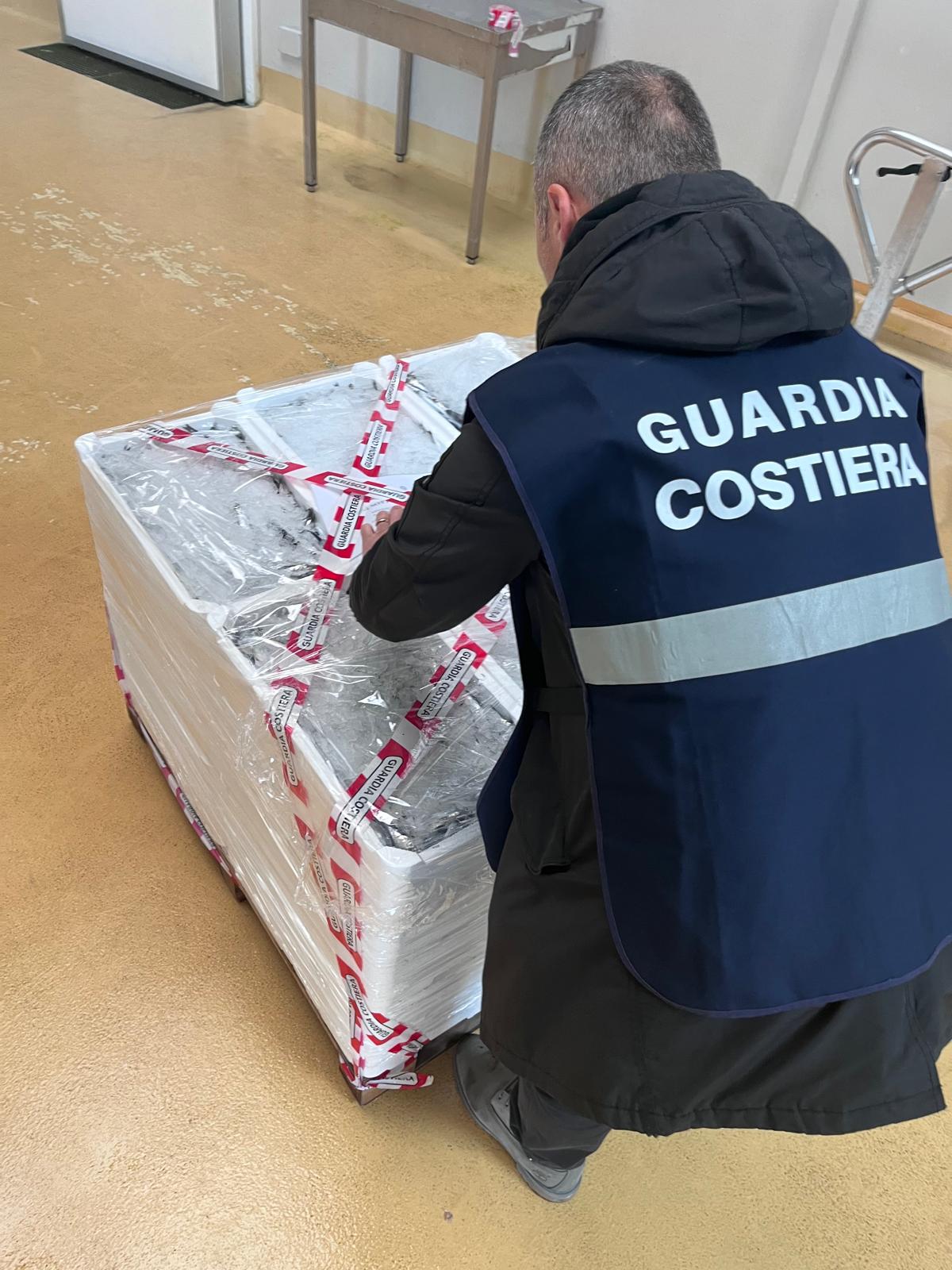 NEL CORSO DI UNOPERAZIONE DI CONTROLLO SULLA FILIERA DELLA PESCA LA GUARDIA COSTIERA DI MOLFETTA HA SEQUESTRATO 270 KG DI PRODOTTO ITTICO