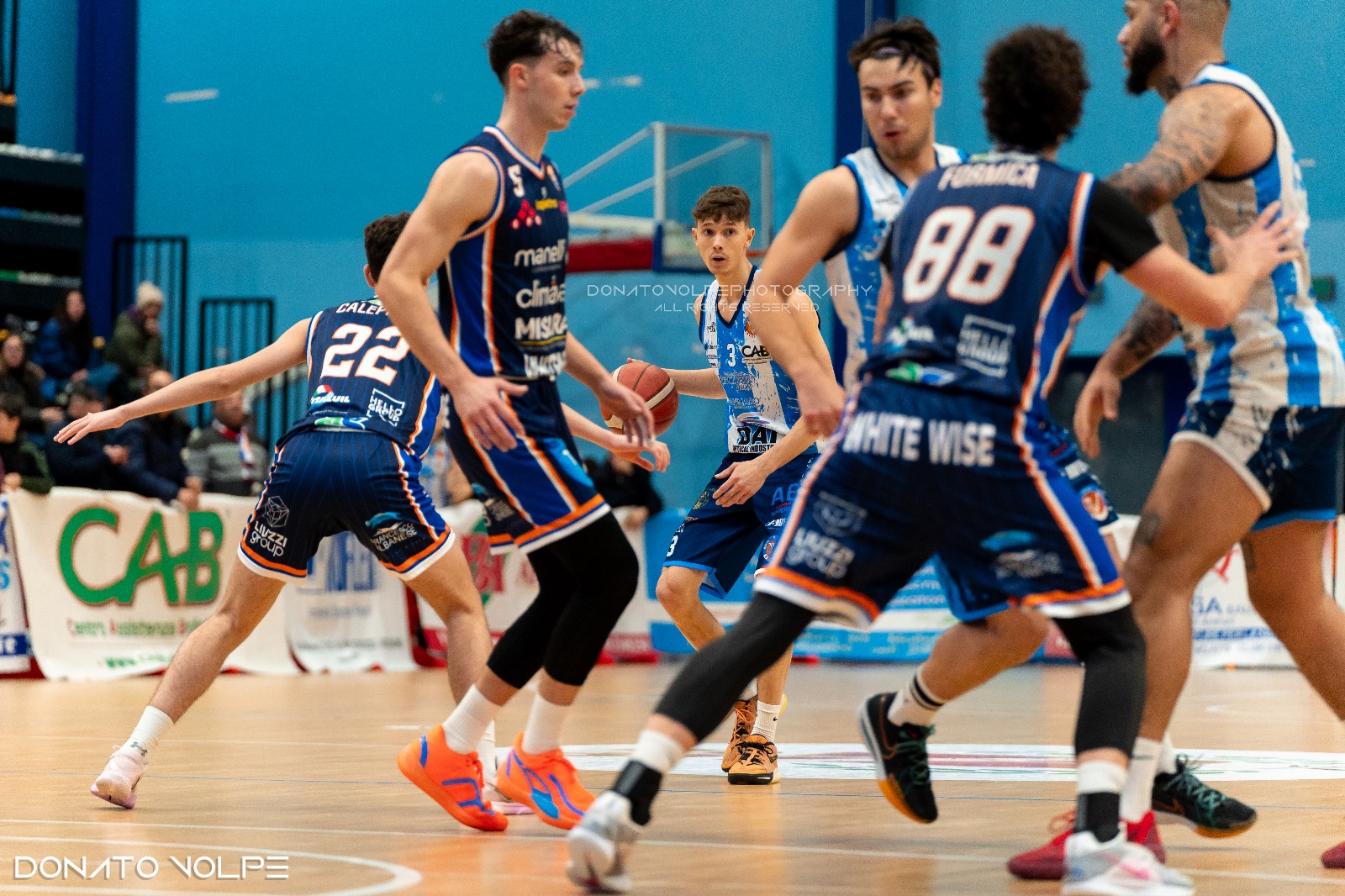 VIRTUS BASKET MOLFETTA BATTE LA REDEL VIOLA DI REGGIO CALABRIA