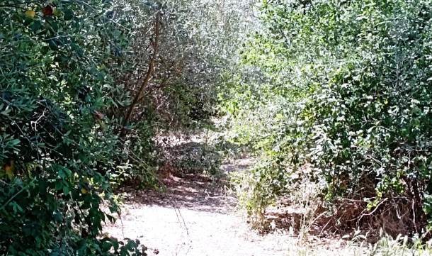 LAMA MARTINA: UN LUOGO DOVE POTER OSSERVARE E ASCOLTARE LA NATURA IN SILENZIO