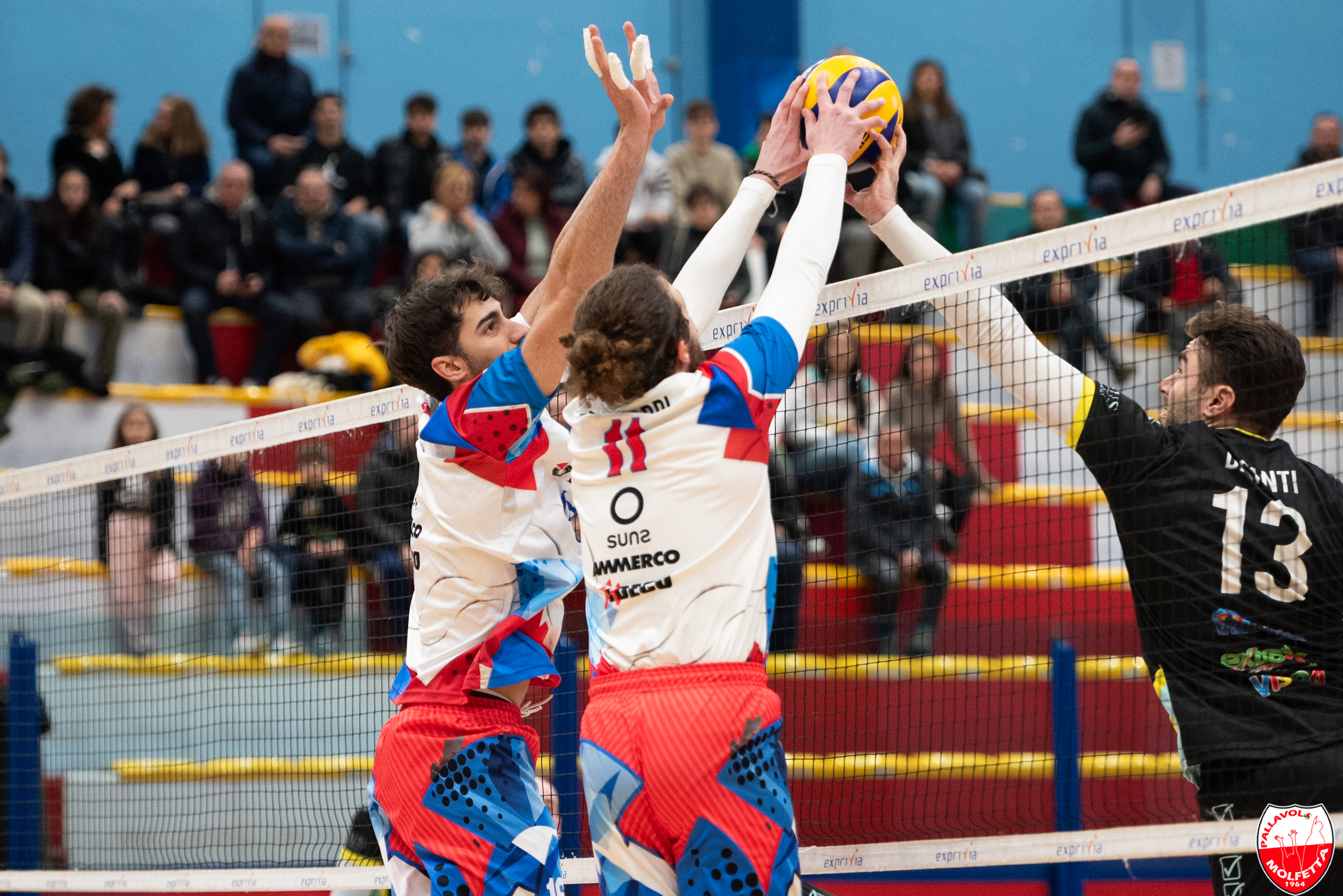 I BIANCORORRI DELLA INDECO VOLLEY TORNANO AL PALAPOLI CNTRO PRAIA A MARE