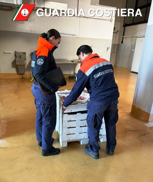 NON SI FERMANO I CONTROLLI DELLA CAPITANERIA DI PORTO � GUARDIA COSTIERA DI MOLFETTA SULLA FILIERA DELLA PESCA