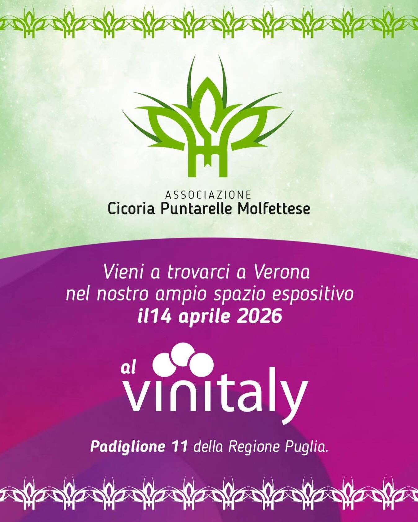 CICORIA PUNTARELLE MOLFETTESE CONQUISTA IL VINITALY. PER LA PRIMA VOLTA SAR� PRESENTE NELLO STAND DELLA REGIONE PUGLIA