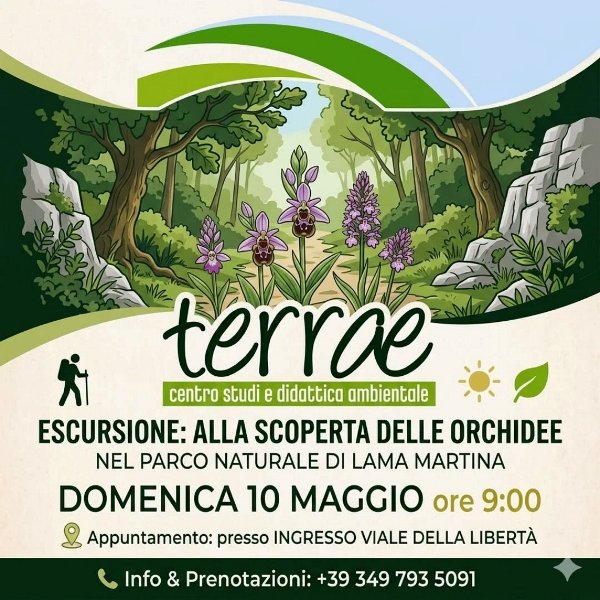 ALLA SCOPERTA DELLE ORCHIDEE SPONTANEE NEL PARCO DI LAMA MARTINA