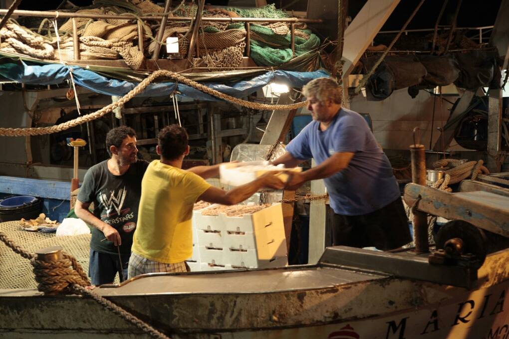 LA VENDITA DIRETTA DEL PESCATO DI MOLFETTA TRA GLI ORI DI PUGLIA A EXPO