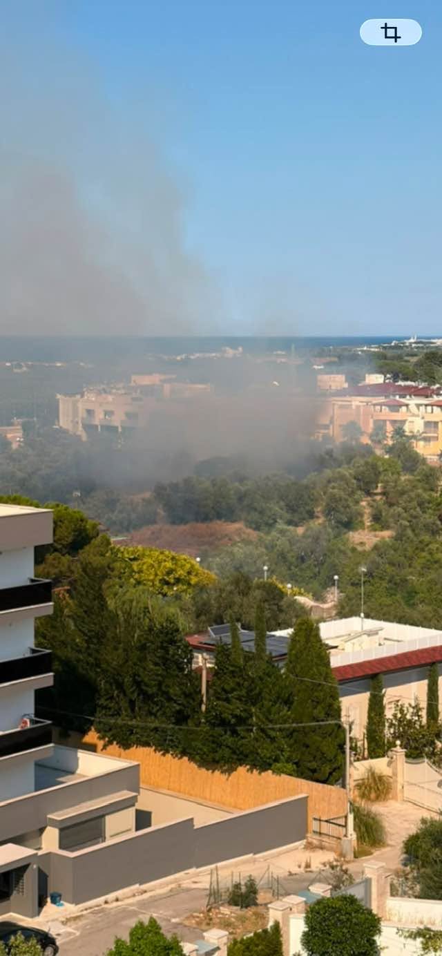 EMERGENZA LAMA MARTINA: PIROMANI O CASUALITA'?
