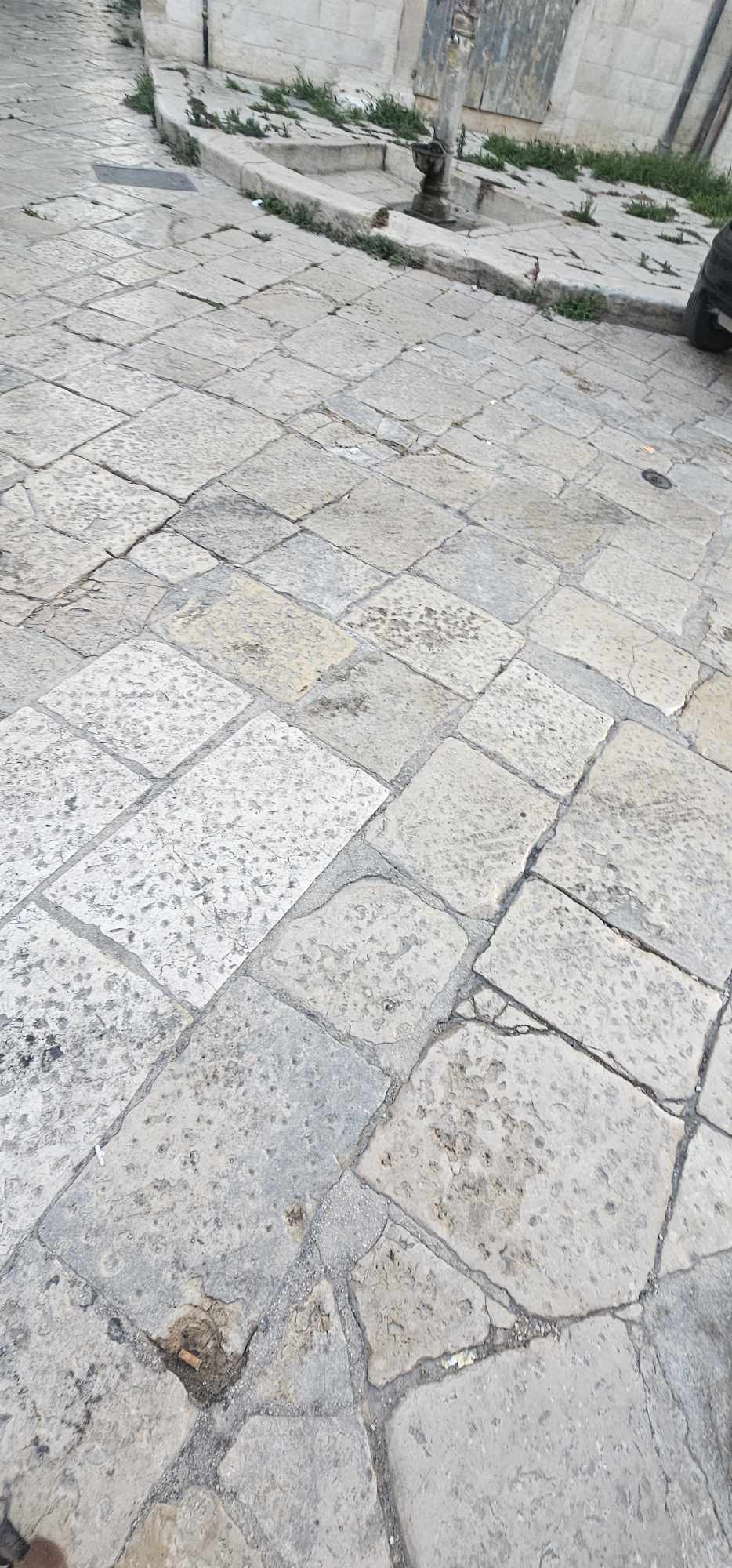 VIA MADONNA DEGLI ANGELI, I RESIDENTI CHIEDONO PI� DECORO E PULIZIA