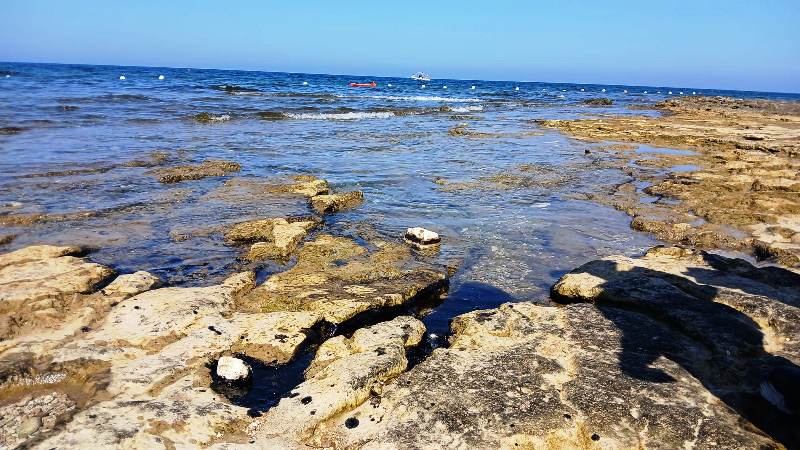 GIOVINAZZO, SVERSAMENTO DI LIQUIDI OLEOSI SUL LITORALE: SCATTANO I CONTROLLI