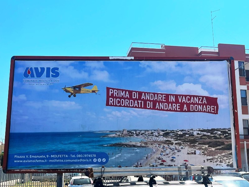 AVIS MOLFETTA, LA SOLIDARIET� NON VA IN VACANZA: �CHI PU� DONARE, LO FACCIA�