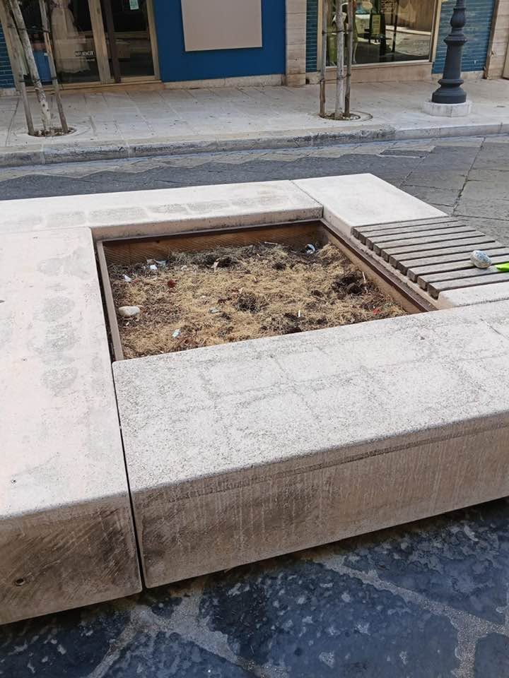 MULTISERVIZI SVEGLIA.... LE FIORIERE DI CORSO UMBERTO SONO TUTTE DESERTE....