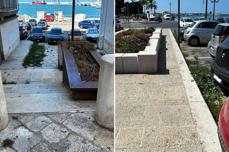 IL VERDE PUBBLICO ABBANDONATO A MOLFETTA: AIUOLE E SCALE TRASFORMATE IN UN ORTO PRIVATO A CIELO APERTO