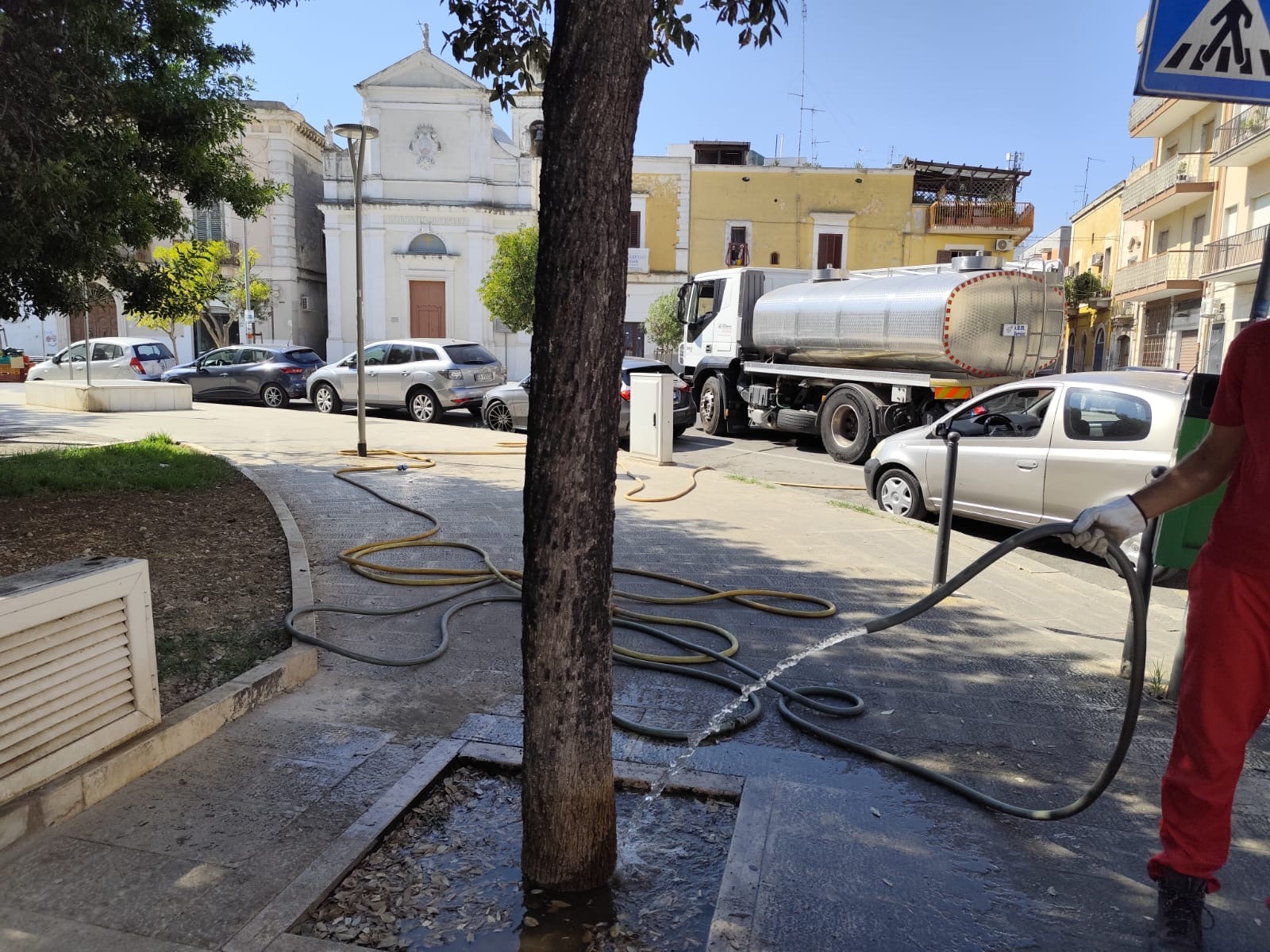 CALDO E SICCIT�, BARI RAFFORZA L�IRRIGAZIONE DI SOCCORSO PER LE ALBERATURE URBANE