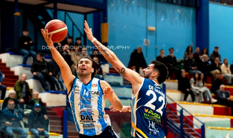 DAI OPTICAL VIRTUS MOLFETTA, AL PALAPOLI ARRIVA PORTO RECANATI