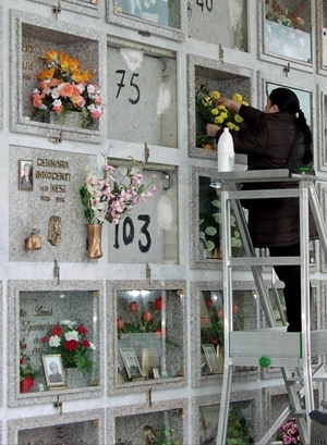 CONTINUA IL FURTO DI FIORI SULLE TOMBE DEL CIMITERO DI MOLFETTA