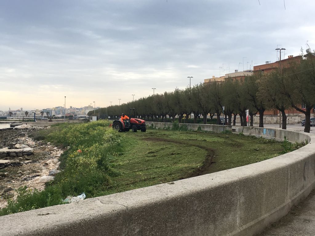  RINATO IL VIALE DEI CROCIATI AL QUARTIERE MADONNA DEI MARTIRI