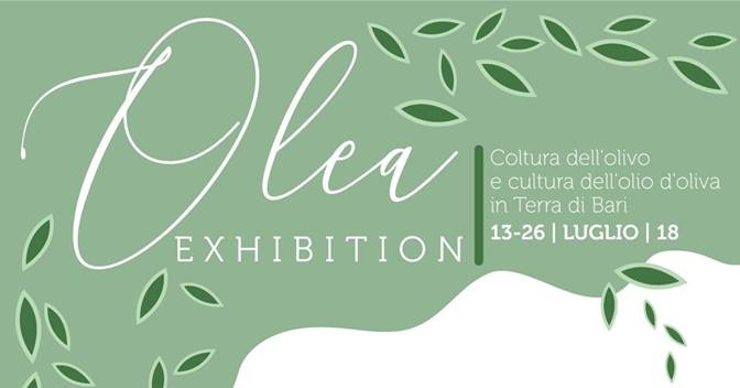 INAUGURATA LA MOSTRA OLEA EXHIBITION PRESSO LINFO POINT DI VIA PIAZZA A MOLFETTA