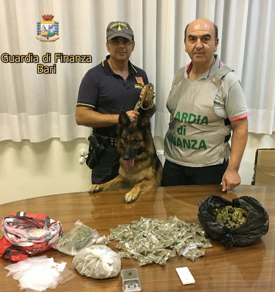 SPACCIAVA DROGA SUL LUNGOMARE DELLA CITT. I FINANZIERI DELLA TENENZA DI MOLFETTA ARRESTANO UN PUSHER E SEQUESTRANO OLTRE 100 DOSI DI MARIJUANA