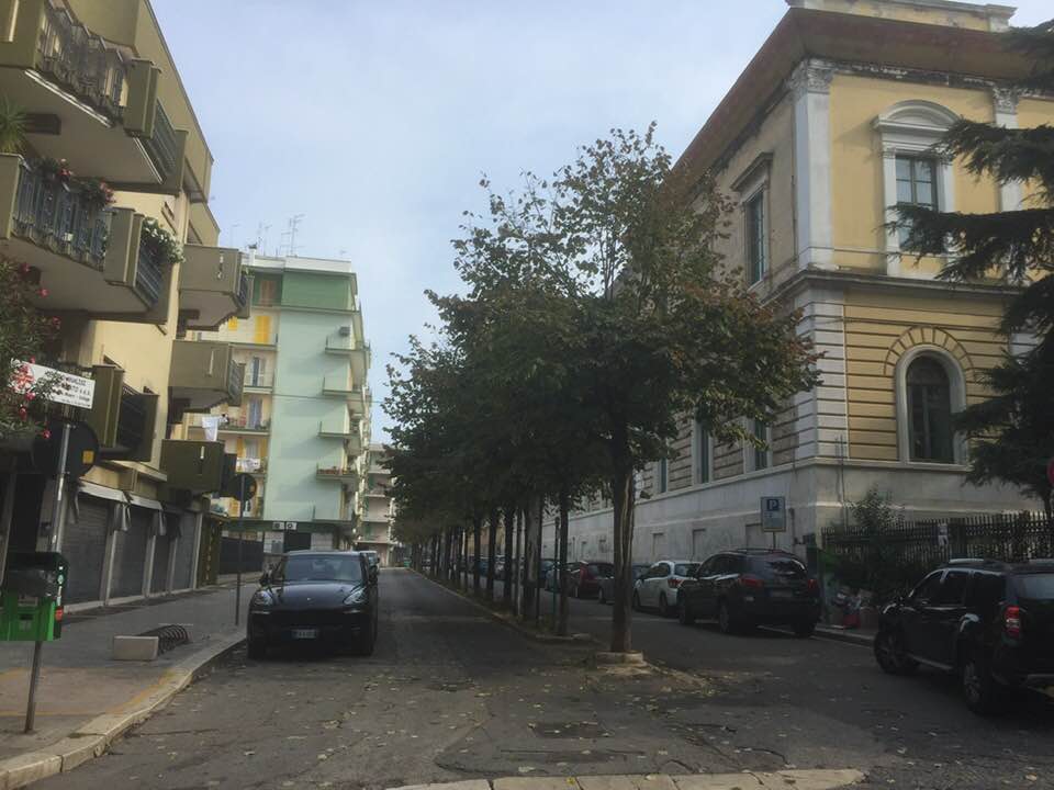 L'ALBERO CEMENTATO A VIA MARANTA ED IL CARTELLO COLLOCATO IN RITARDO