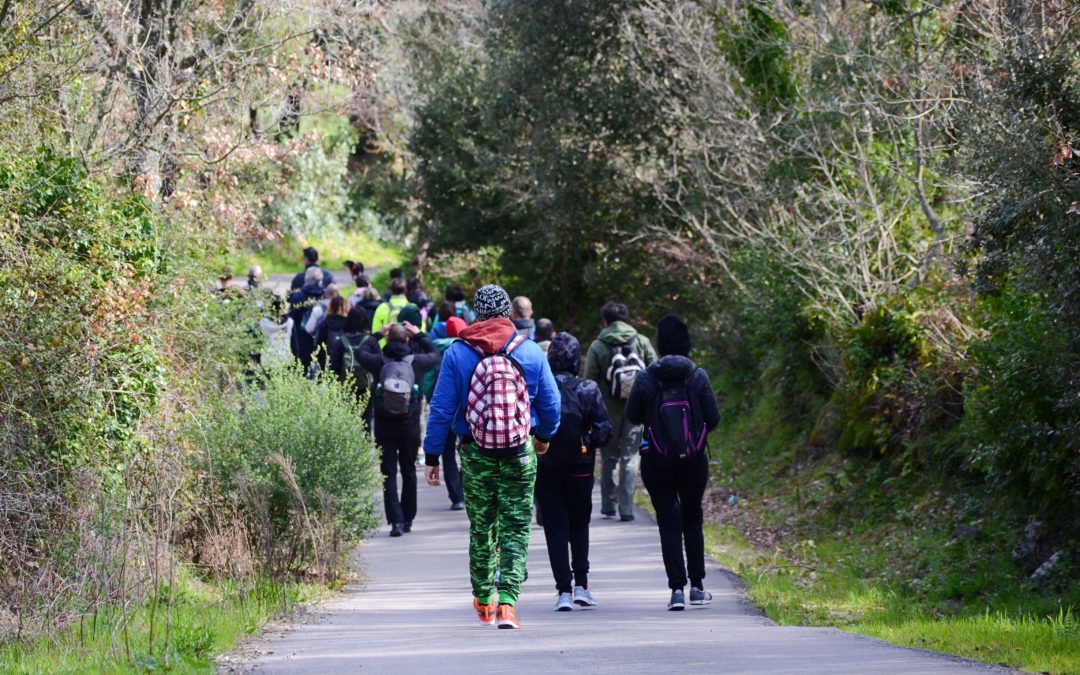 LA TRADIZIONE DI ANDARE A PIEDI A BITONTO NON SI PERDE, POCHI MA CONTINUA