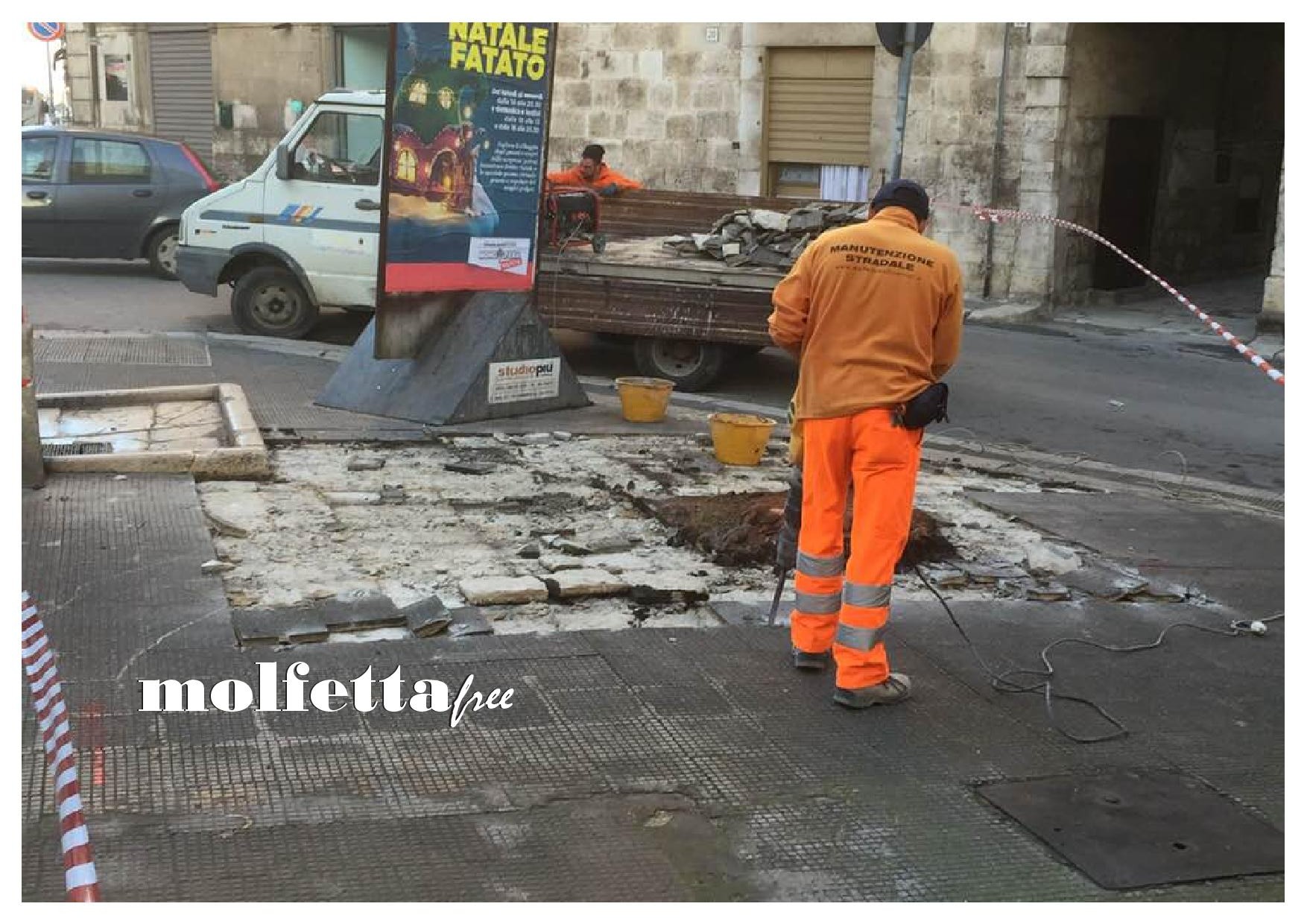 IL QUARTIERE DI SAN DOMENICO IN RIVOLTA PER L'ESPIANTO DI UN PINO DI 21 ANNI