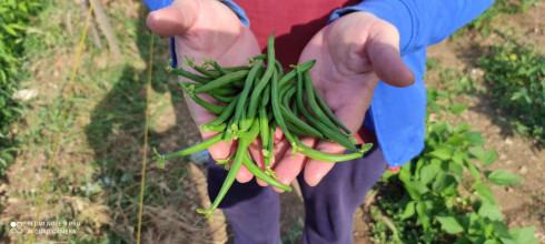 PROGETTO COLTO E MANGIATO: VENERD 16 LUGLIO LA FESTA DI CHIUSURA