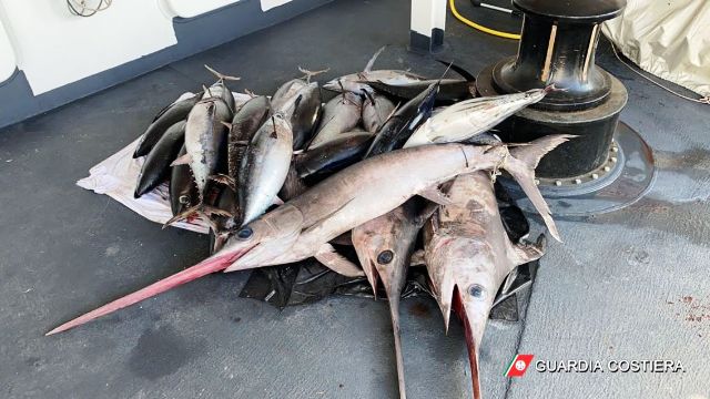 MAXI OPERAZIONE COMPLESSA NO DRIFTNETS CONTRO LA PESCA ILLEGALE DA PARTE DELLA GUARDIA COSTIERA 