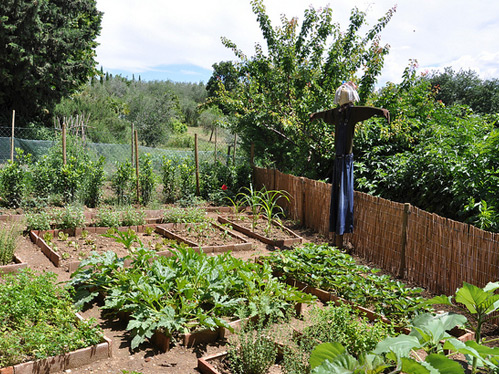 PROSEGUIR FINO AD OTTOBRE 2022 IL PROGETTO COLTO E MANGIATO LA GESTIONE DI UN ORTO SOCIALE, SITO ALLINTERNO DEL GIARDINO DELLA SEDE COMUNALE DI LAMA SCOTELLA