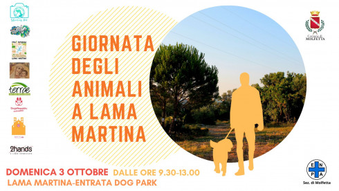 GIORNATA DEGLI ANIMALI: ANGOLO ADOZIONI, RITRATTI E FOTOGRAFIE PER CANI A LAMA MARTINA A MOLFETTA