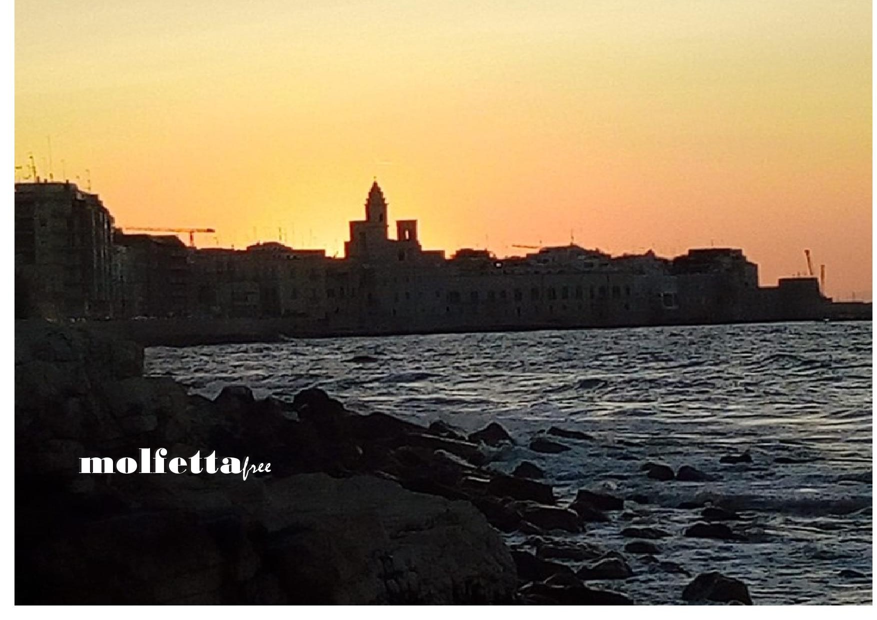 IL MARE DI MOLFETTA RESPIRA....ACQUE LIMPIDE E PESCI SOTTOCOSTA