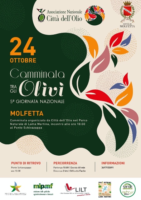 SI CELEBRA DOMENICA 24 OTTOBRE LA V EDIZIONE DELLA CAMMINATA TRA GLI OLIVI, EVENTO PROMOSSO DALLASSOCIAZIONE NAZIONALE CITT DELLOLIO