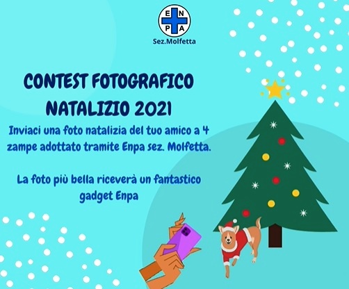 PARTE IL CONTEST FOTOGRAFICO NATALIZIO 2021 PROMOSSO DALLENPA LENTE NAZIONALE PROTEZIONE ANIMALI - SEZIONE DI MOLFETTA