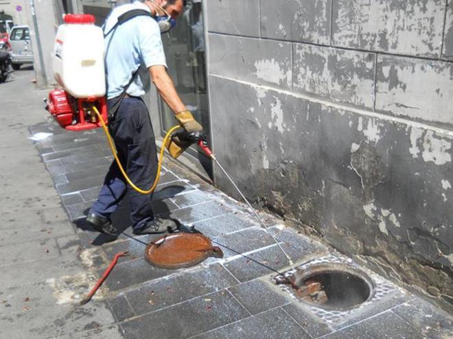 CONTINUANO GLI INTERVENTI DI DISINFEZIONE DELLE STRADE A MOLFETTA GRAZIE ALLASM