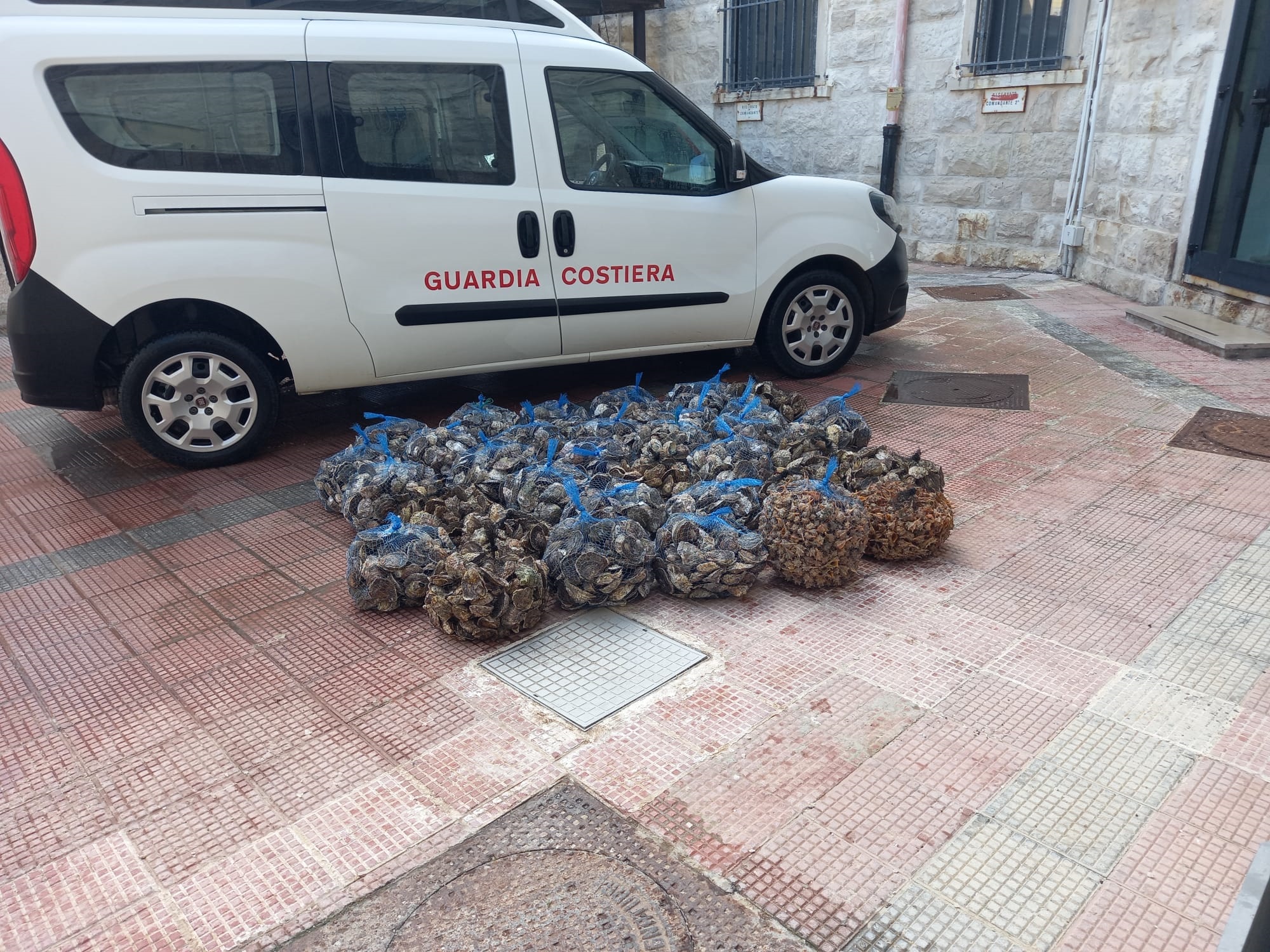 BRILLANTE OPERAZIONE DELLA GUARDIA COSTIERA DI MOLFETTA CHE SEQUESTRA QUASI 400 KG DI OSTRICHE PRIVE DI ALCUNA DOCUMENTAZIONE