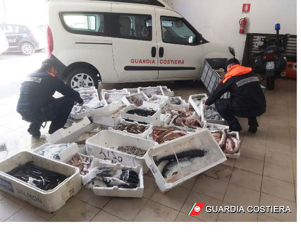 BRILLANTE OPERAZIONE DELLA GUARDIA COSTIERA DI MOLFETTA A SALVAGUARDIA DELLA SALUTE DEI CONSUMATORI