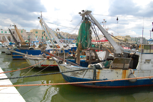 ANCORA PESCATORI SUL PIEDE DI GUERRA: TRASFERTA A BARI 