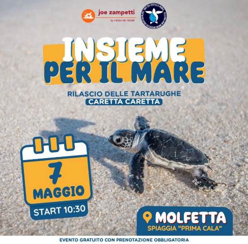 DOMENICA 7 MAGGIO VERRANO RILASCIATE DELLE TARTARUGHE CARETTA CARETTA ALLA PRIMA CALA A MOLFETTA